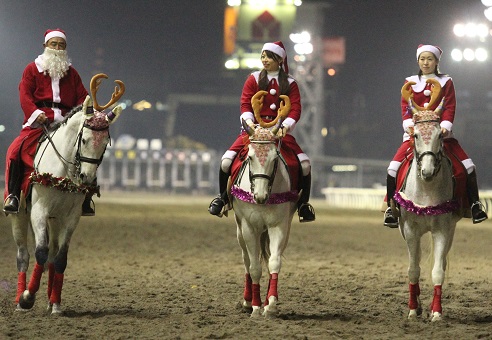 競馬 元東京競馬場誘導馬トウショウファルコの実使用ゼッケン-